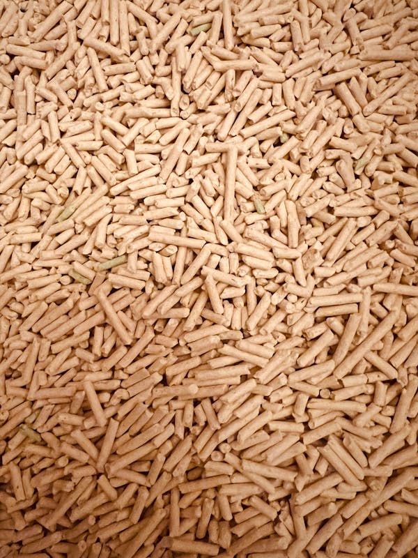 Découvrez pourquoi les pellets combustibles sont l’avenir durable